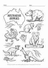 Australian Animals Coloring Pages For Kids sketch template