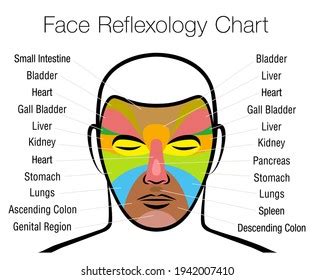Face Reflexology Chart Printable