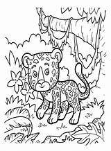 20  Jaguar Coloring Pages Free Printable PDF & Online sketch template