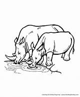 Rhino Coloring Pages sketch template