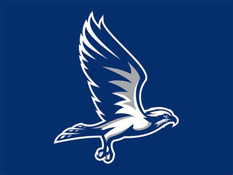 Broward College Seahawks by Torch Creative on Dribbble