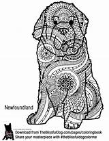 Newfoundland Coloring Pages Dog Colouring Drawing Dogs Super Quilt  sketch template