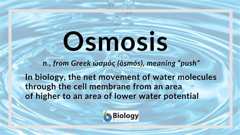 Osmosis - Definition and Examples - Biology Online Dictionary