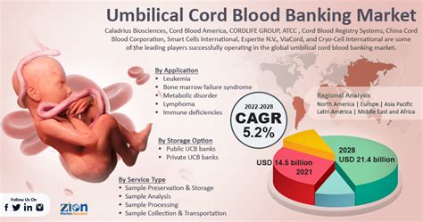 Umbilical Cord Blood Banking Market Size, Forecasts 2022 – 2028