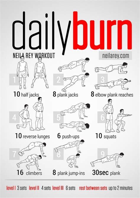 Full body workout: Daily Burn Workout / Full Body Workout Infographic