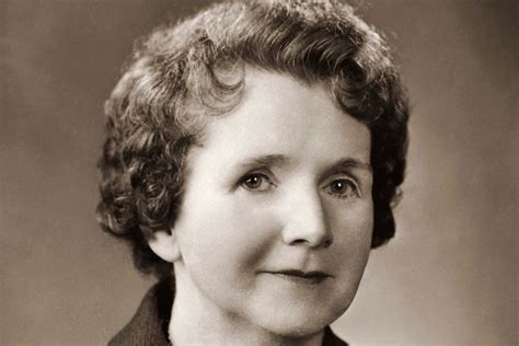 Rachel Carson Biography: Environmentalist Author