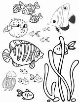 Fabulous Fish Coloring Pages For Kids And Adults sketch template