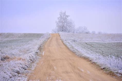 Lithuania Winter Landscape .Rural Scene. Stock Photo - Image of ...