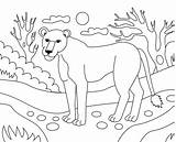 Singa Mewarnai Getcolorings Coloringhome Colouring Marimewarnai Sheet  sketch template