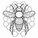Premium Vector  Honey bee coloring Book For Adults Illustration sketch template
