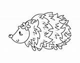 Cute Porcupine Coloring Stock Illustrations – 74  sketch template