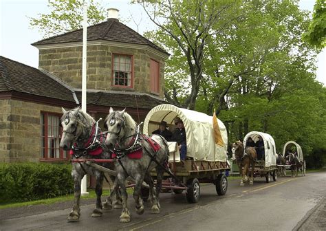 Horse Drawn Covered Wagon | Horses, Horse drawn wagon, Covered wagon