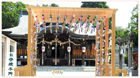 Orchid's Daily Voice (Home Page): Furin-festival at Shrine and Dragonfly etc;