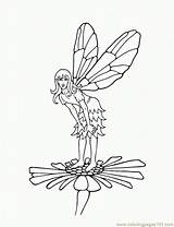 Printable Fairy Coloring Pages  Coloring Home sketch template
