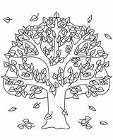 Autumn Tree Coloring Page sketch template