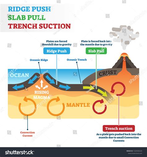 Ridge Push Slab Pull Trench Suction Stock Vector (Royalty Free ...