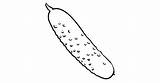 Coloring Cucumber Printable Pages Vegetable Cucumbers Kids Drawing  sketch template