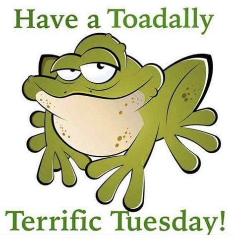 Good Morning Tuesday Quotes Funny / Do The Tuesday Twist Pictures ...