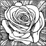 Roses Coloring Page · Creative Fabrica sketch template