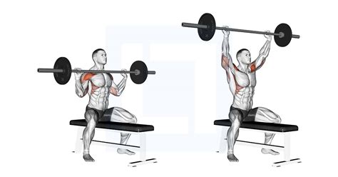 Barbell Seated Overhead Press - Guide, Benefits, and Form