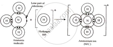 Explain the Structure of Ammonium Ion. - Chemistry | Shaalaa.com