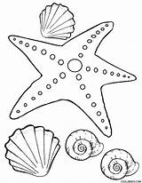 printable starfish coloring Page  Clip Art Library sketch template