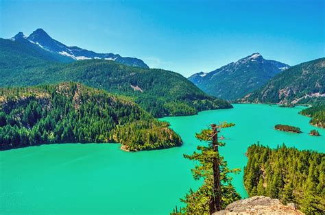 13 Best State & National Parks in Washington | PlanetWare