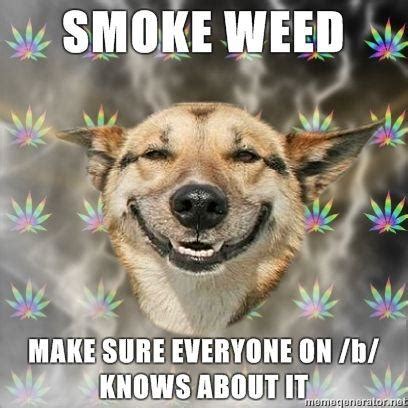 [Image - 49201] | Stoner Dog | Know Your Meme