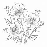 Flowers In Flower Coloring Page Outline Sketch Drawing Vector  sketch template