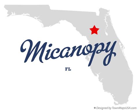 Map of Micanopy, FL, Florida