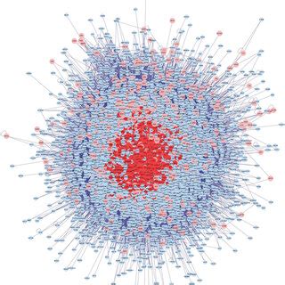 “Ligustrum lucidum-Cuscutae Semen” core target interaction network. | Download Scientific Diagram