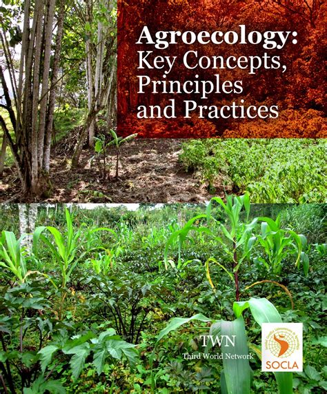 Agroecology key Concepts, Principles and Practices : Food First