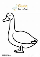 Goose Coloring Pages For Kids – Free Printables  Art & Craft sketch template