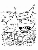 Coloring Pages Sharks Printable sketch template