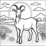 Goat In A Field coloring Page Lulu Pages sketch template