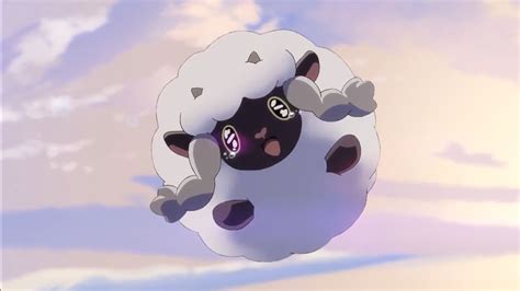 Hop's Wooloo | Pokémon Wiki | Fandom