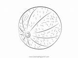 Pin On Melon Coloring Pages sketch template