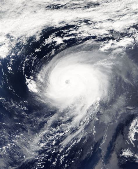 Hurricane Irene (2005) - Wikipedia