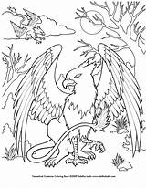 Griffin Coloring Page By EquusTenebriss On DeviantArt sketch template
