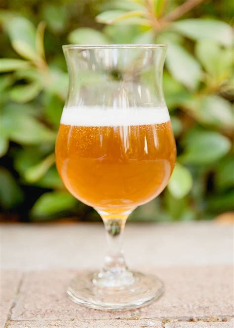 How Homebrewed Beer Goes from Flat to Fizzy | Kitchn