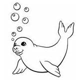 Free SEAL Coloring Pages For Download Printable PDF  VerbNow sketch template