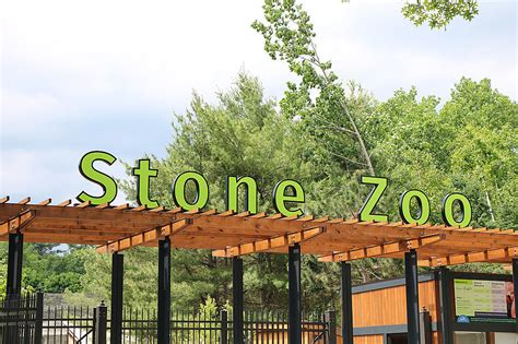 Rare After Hours Adult Only Night At Stone Zoo