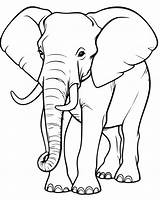Cartoon elephant coloring page 23404190 Vector Art At Vecteezy sketch template