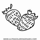 Strawberries Coloring Pages For Kids  Free sketch template