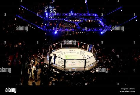 Ufc london octagon hi-res stock photography and images - Alamy