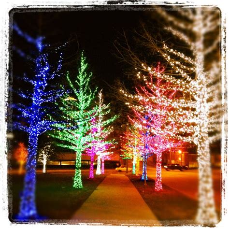 Awesome Christmas Lights in Fort Worth, Texas | Christmas lights ...