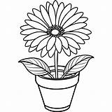 Gerbera Daisy Flower Outline Illustration coloring Book Page Design  sketch template