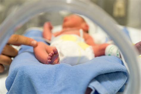 Plastics Found on Everyday Products Could Be Causing a Rise in Premature Births, Study Suggests