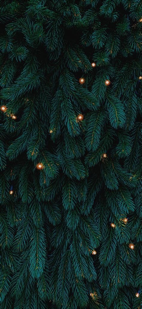 Green Christmas Tree Wallpapers - Wallpaper Cave
