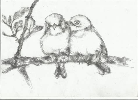 bird drawing | nightwithdeer | Bird drawings, Branch drawing, Drawings